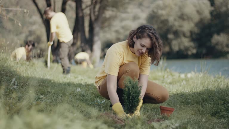 Best Root Management and Removal  in Jefferson City, TN